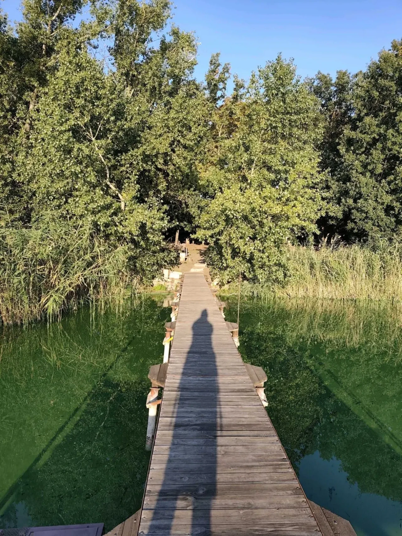 сдам дом для отдыха 2