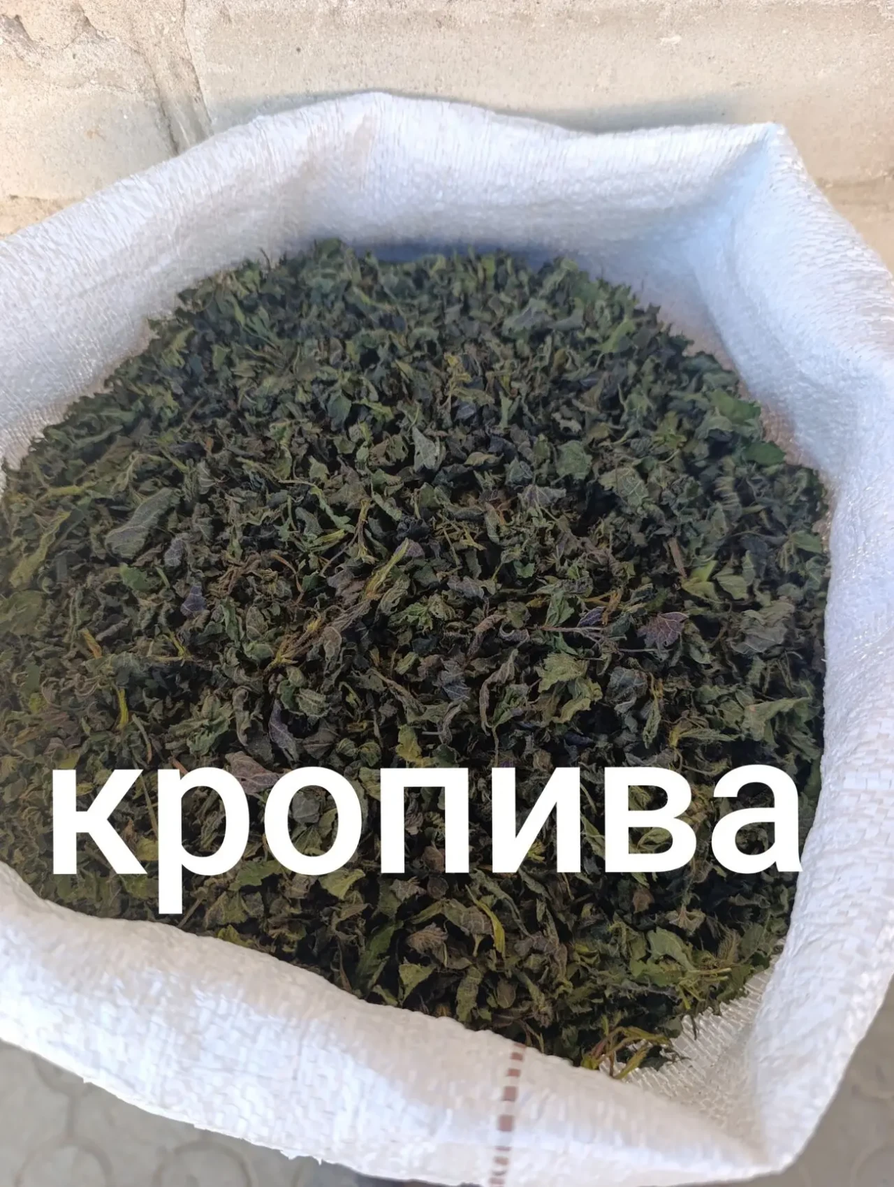Кропива.  Кропива