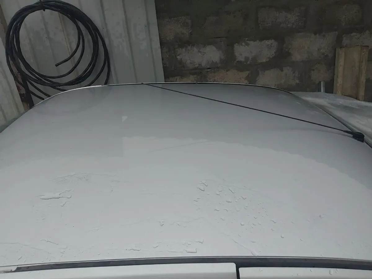 Дах Логан 1 2008 D69 2