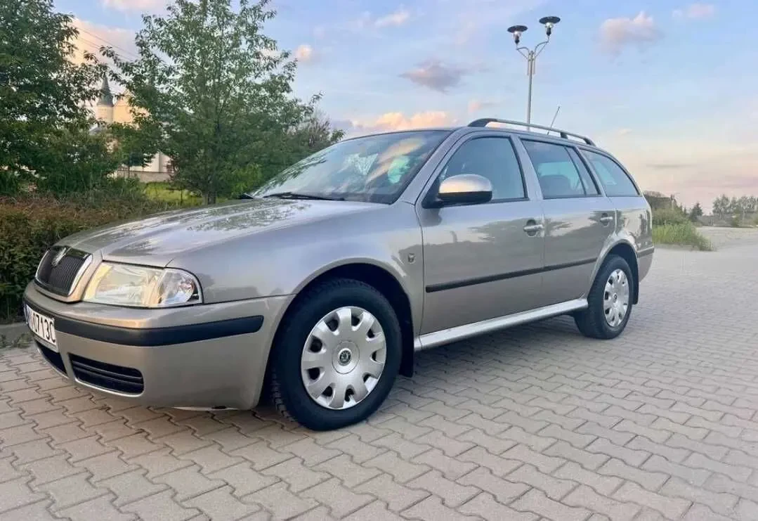 Skoda Octavia Нерозмитнена 2