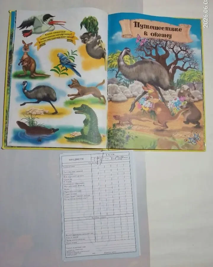 Книга малышам картинки животные приключения кенгуренка и бланк табель 2