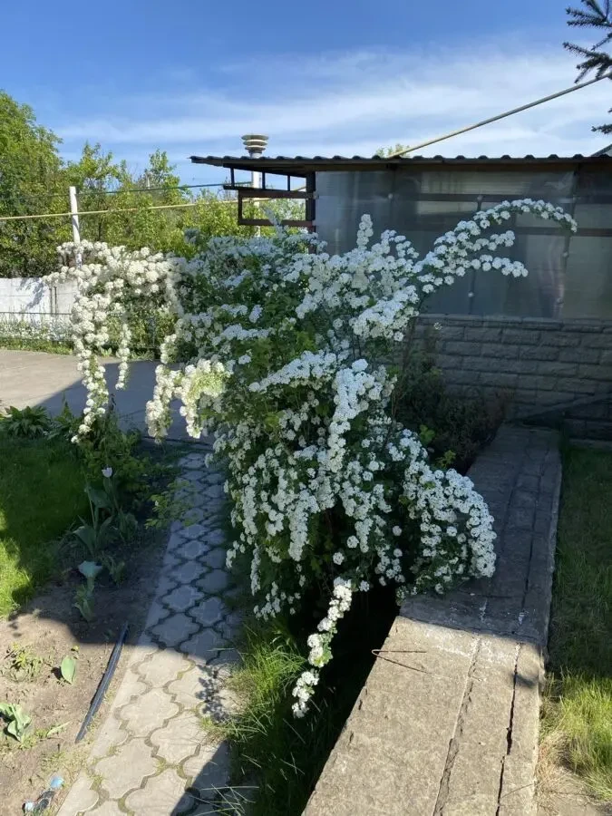 Продам дом березановка