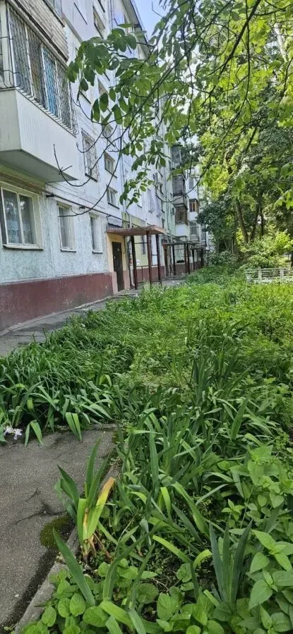 Продам 3-х комн., р-н поликлиники 10
