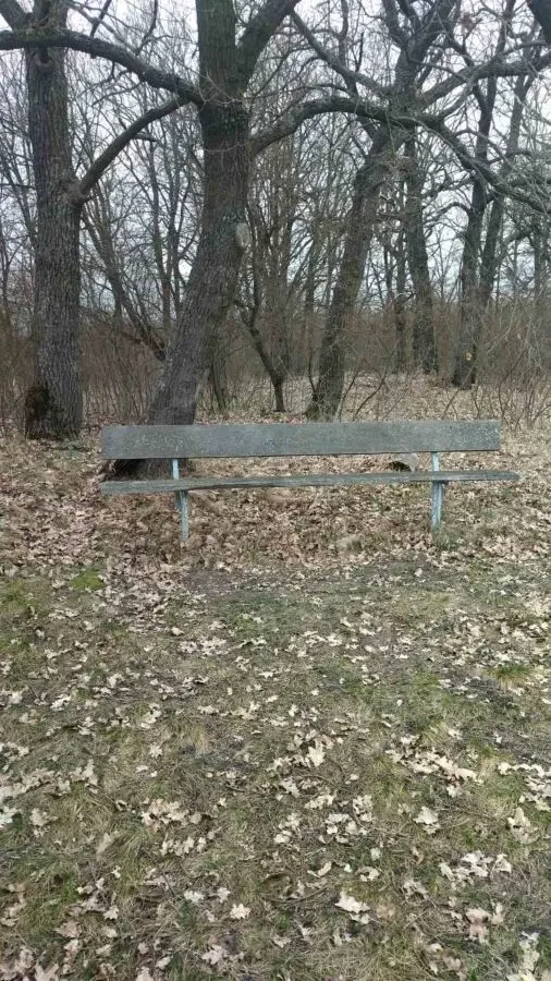 Земельна ділянка 2