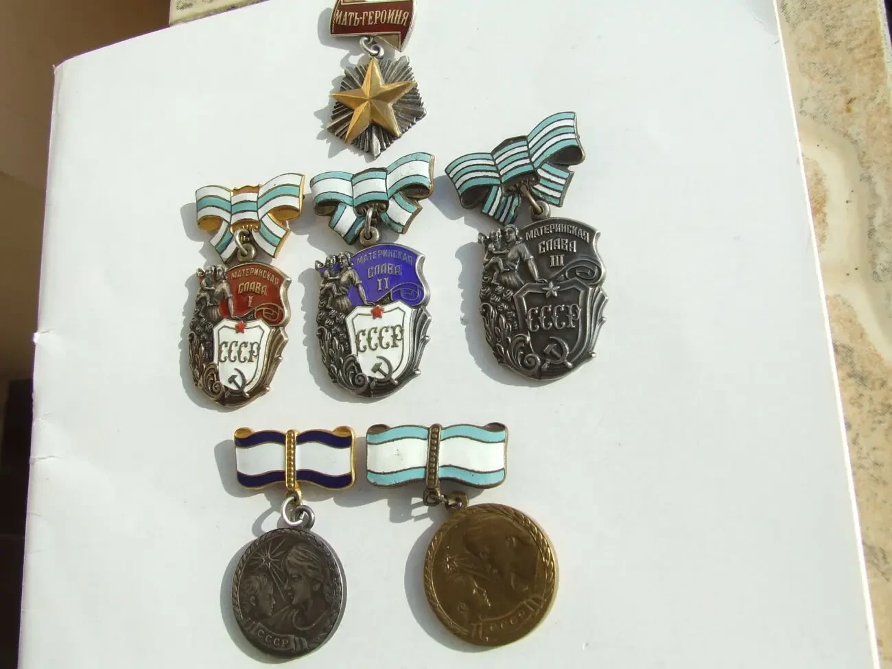 Орден    мати-героїна . материнська слава  всіх ступенів   ссср   нагор. до  1990 року. 6