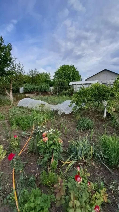 Продам дачу в Підгородному 5