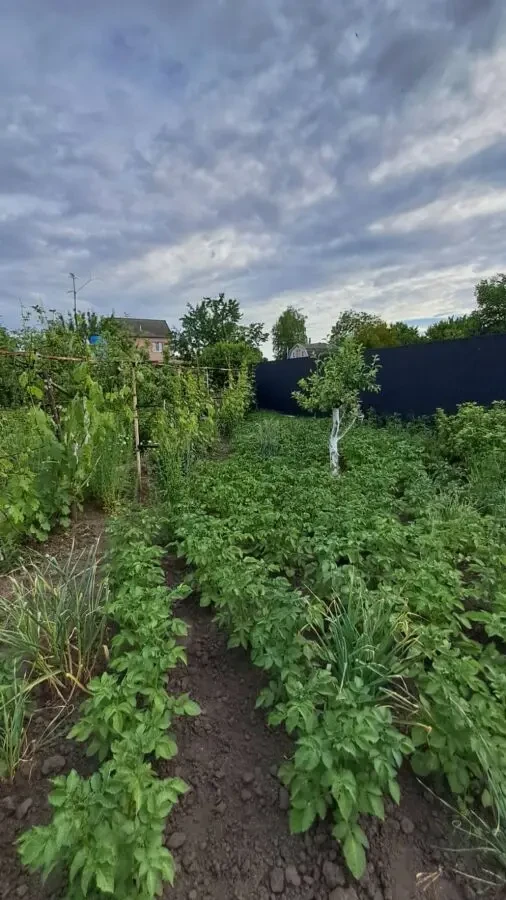Продам дачу в Підгородному 8