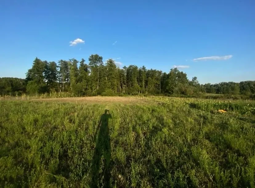 Продається ділянка 6