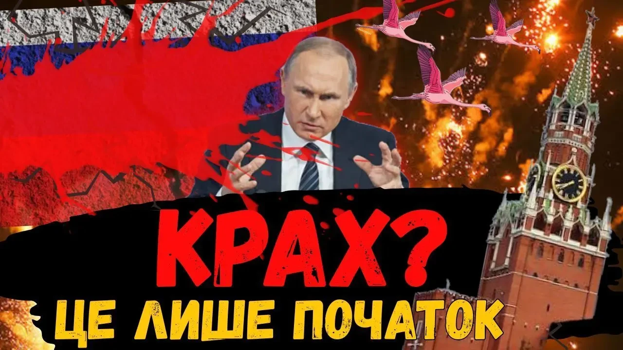 Графічний дизайнер 4