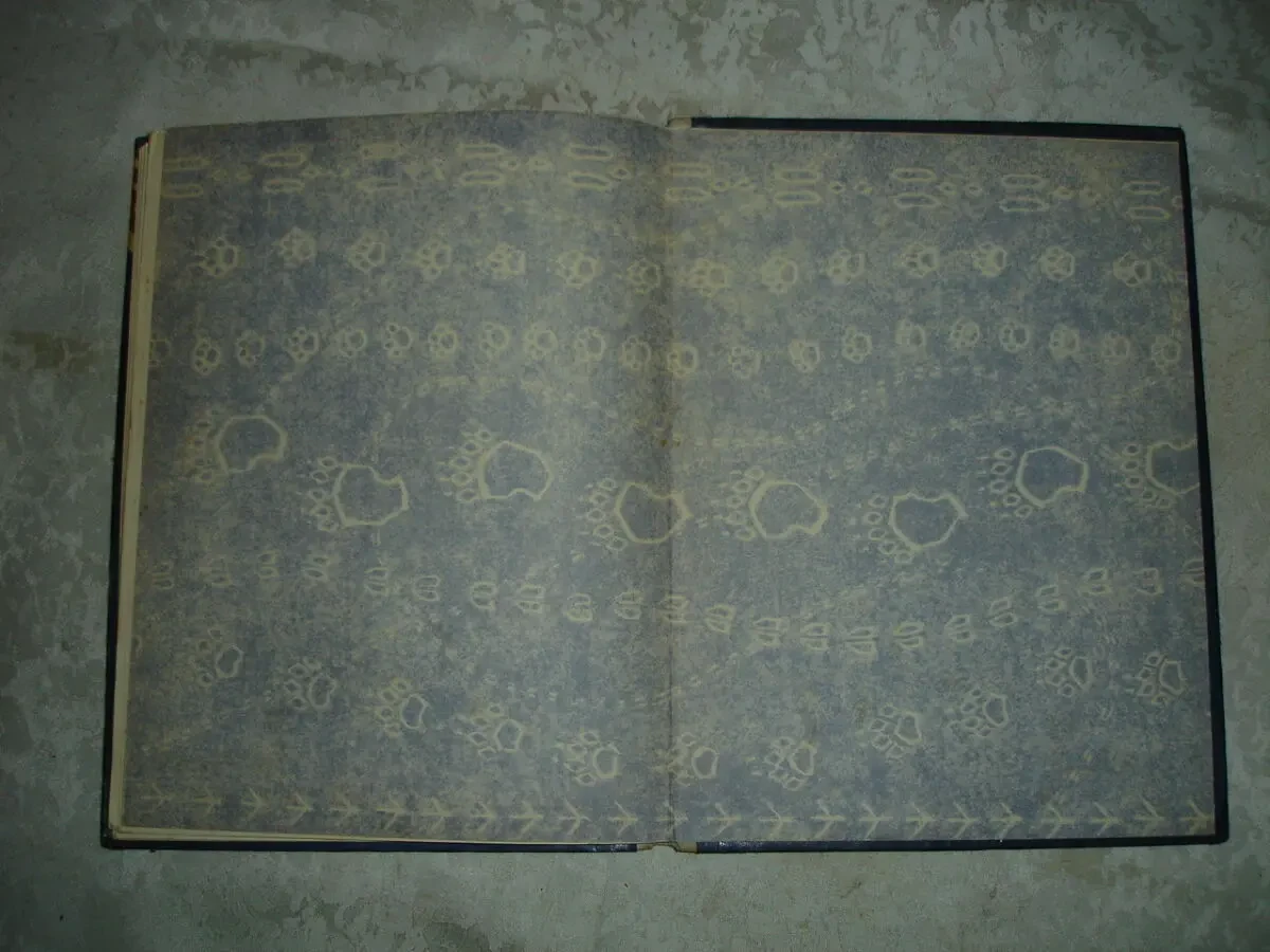 РУКАВИЧКА. Збірка УКР. НАРОДНИХ КАЗОК. Київ, 1969. 64 с. 11 казок. БУКІНІСТИКА 9