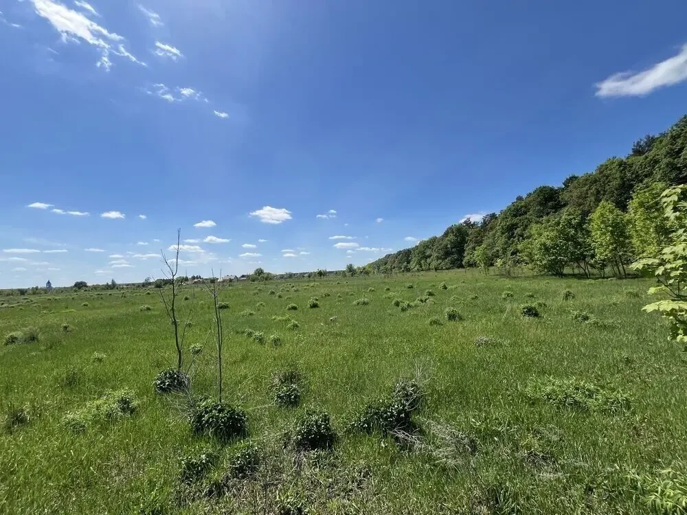 Продам земельну ділянку
