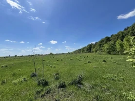 Продам земельну ділянку