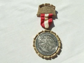Медаль Мальтинська долина 1976 року розмір 6 см. вага 90 грамм. Австрія