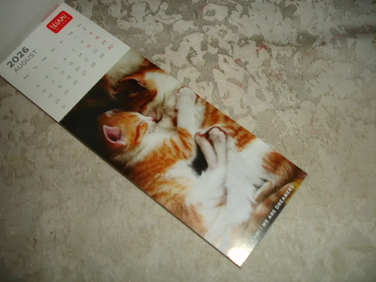 Календар-ЗАКЛАДКА на 2026 рік KITTENS/кошенята. НОВА. Made in ITALY. БРЕНДОВА. Підвісна. 7