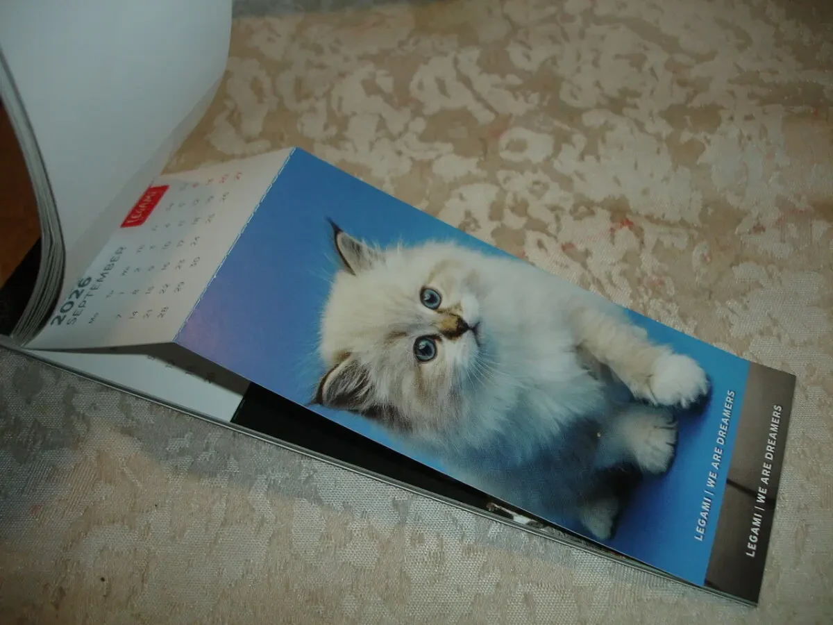 Календар-ЗАКЛАДКА на 2026 рік KITTENS/кошенята. НОВА. Made in ITALY. БРЕНДОВА. Підвісна. 8