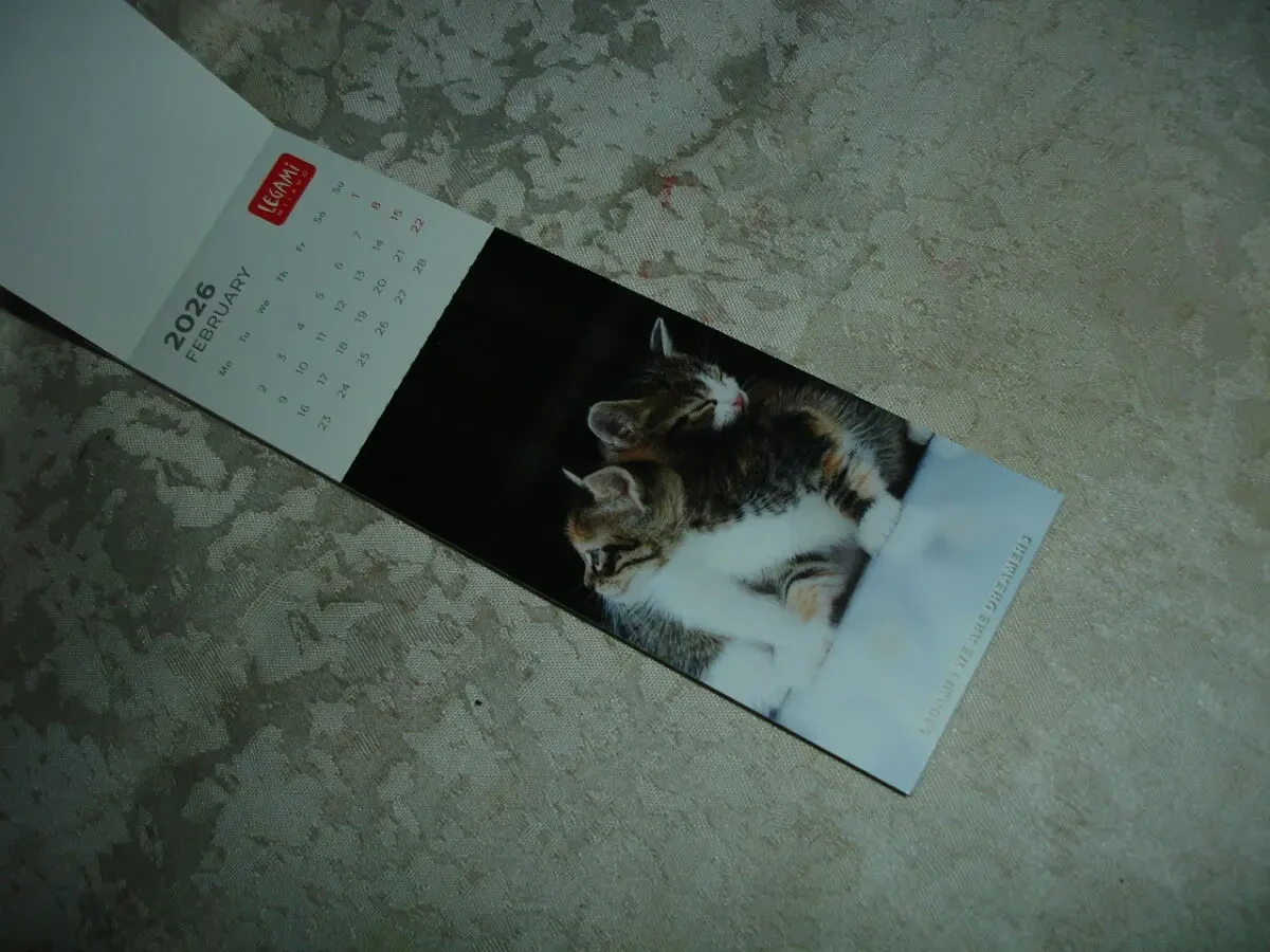 Календар-ЗАКЛАДКА на 2026 рік KITTENS/кошенята. НОВА. Made in ITALY. БРЕНДОВА. Підвісна. 5