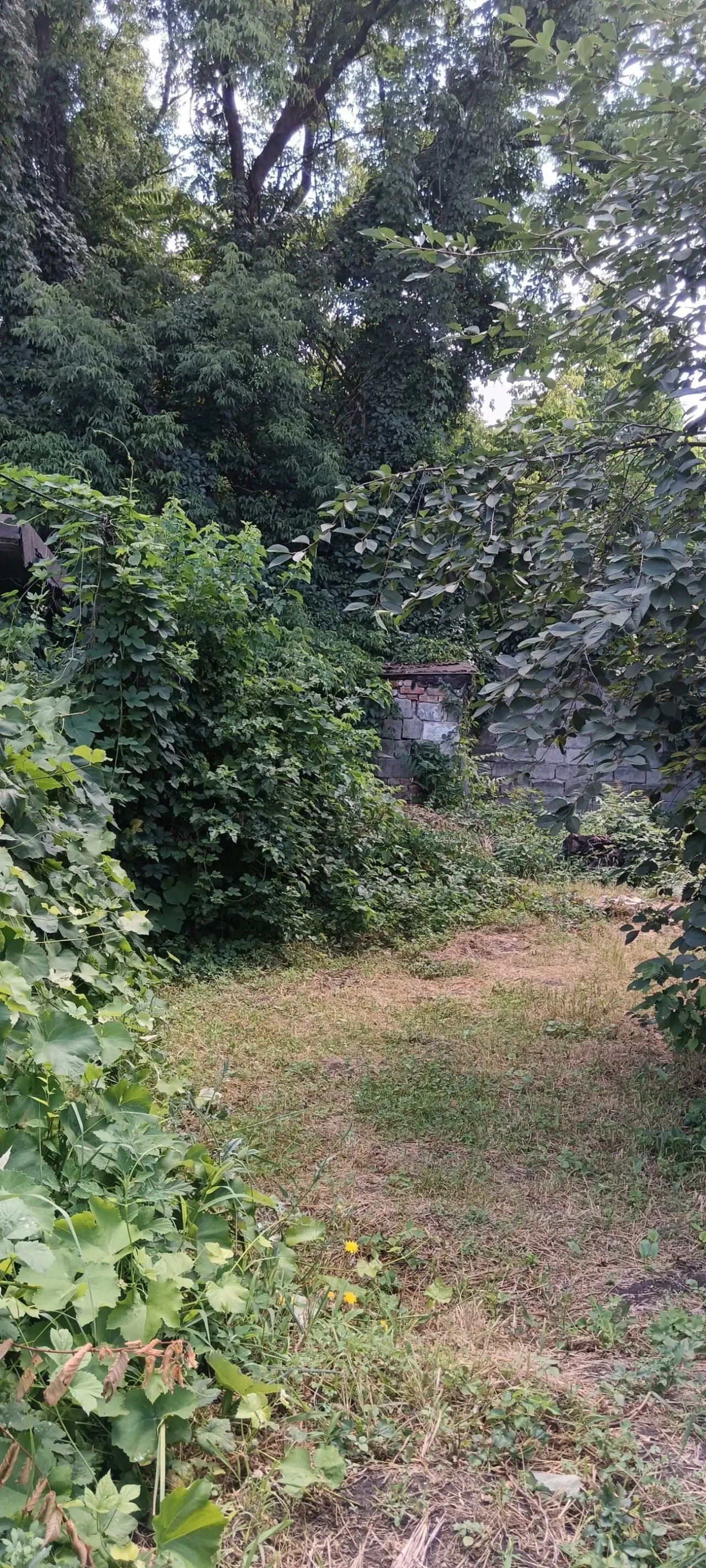 Продам домоволодіння,в центрі міста. 4