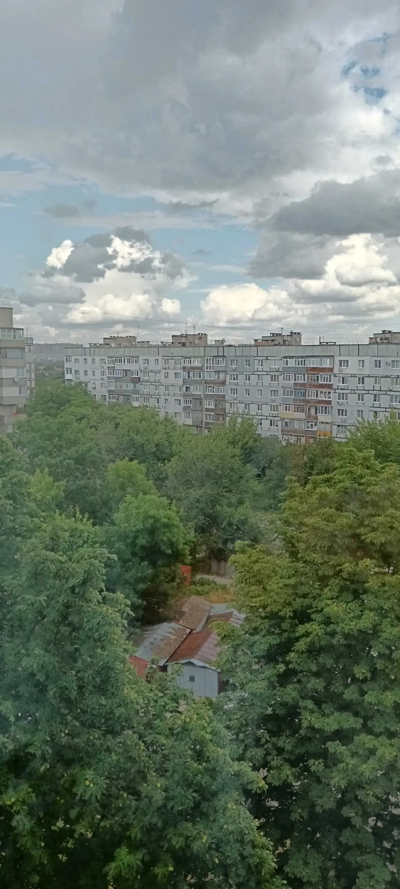 Продам терміново Мал/сімейку 8
