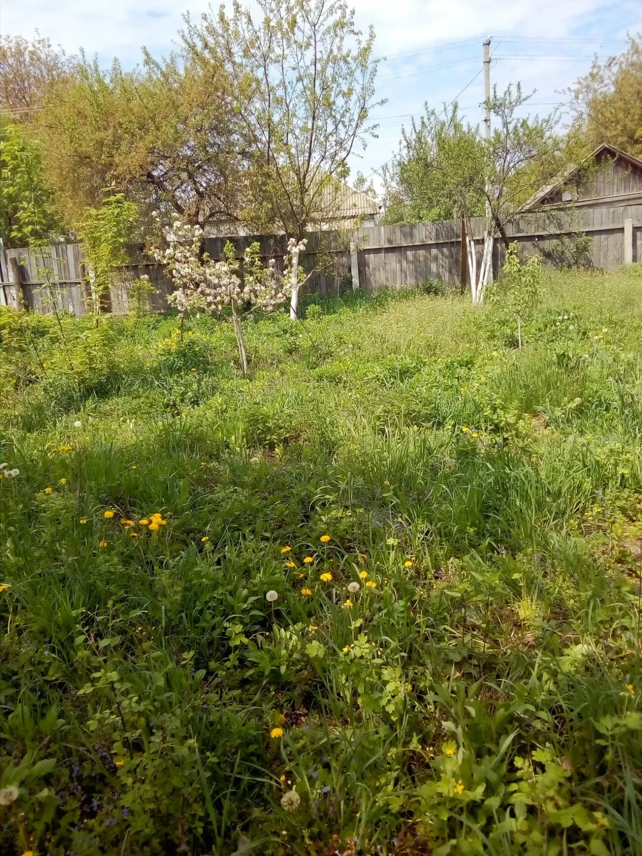 Продам земельну ділянку під будіництво,Броварський район,село Гоголів,Киевська обл 2