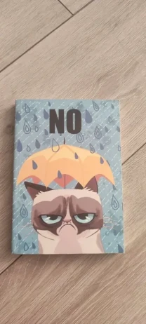 Блокнот ежедневник с принтом в стиле знаменитого интернет-мема Grumpy Cat (Угрюмый Кот).