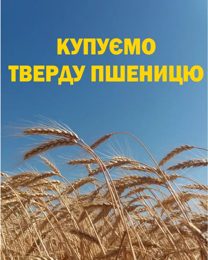 Купуємо ТВЕРДУ пшеницю