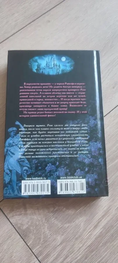 Книга «Замуж за принца» — Элизабет Блэквелл 7