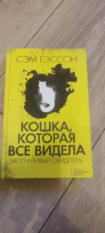 Книга «Кошка, которая все видела» Сэм Гэссон / Sam Gasson «The Cat Who Saw It All» 2017 г.