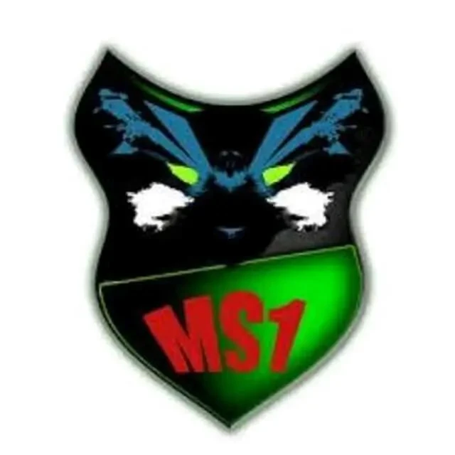 MS1 logistics Вантажоперевезення 3