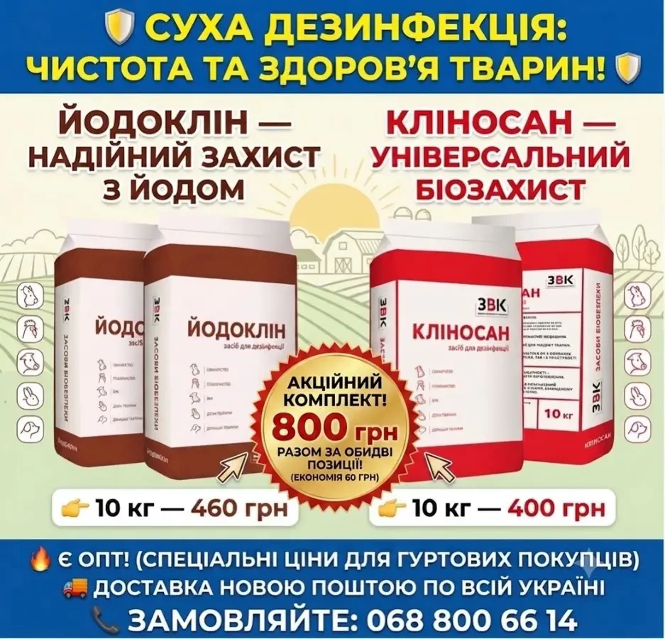Кліносан 2