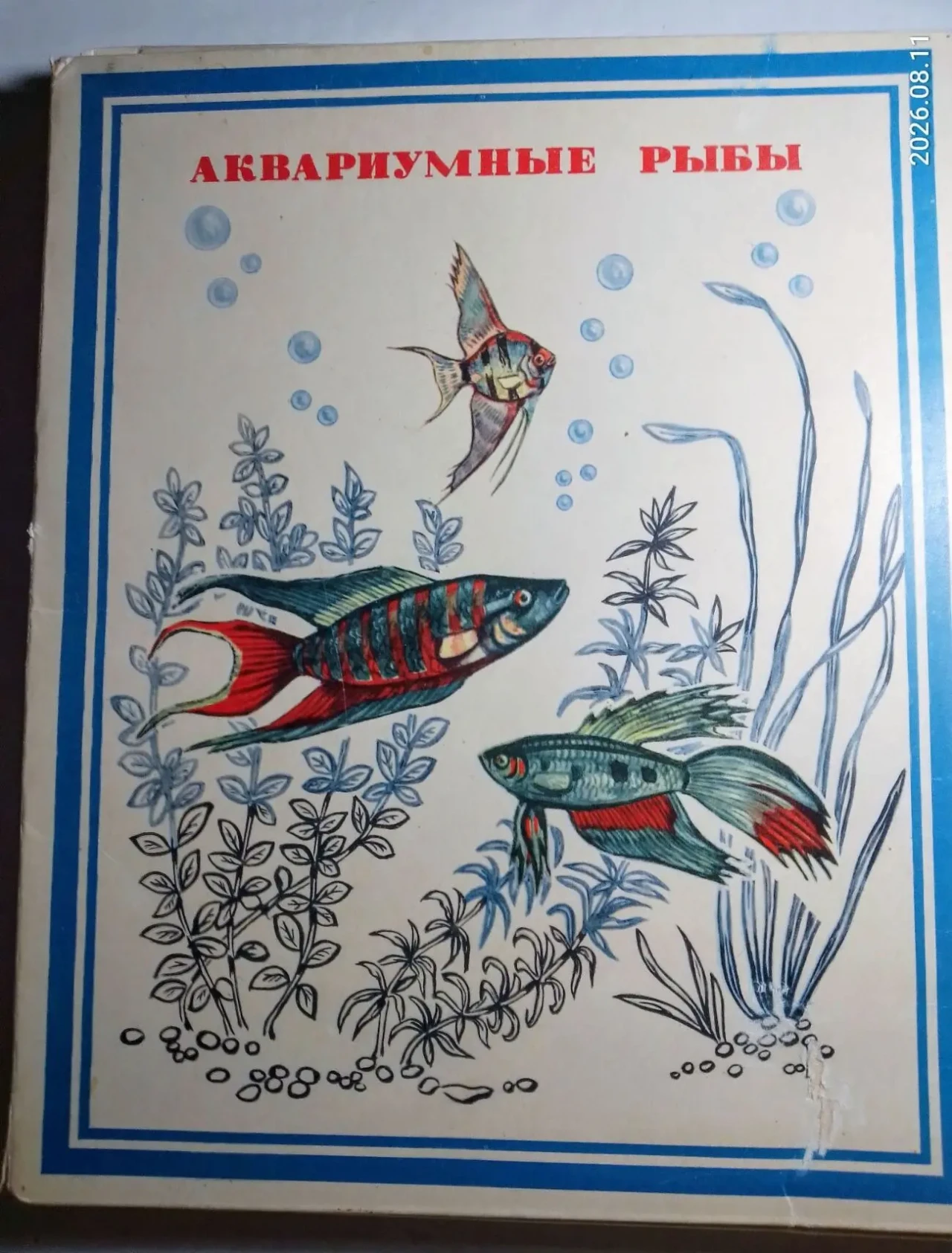 Спичечные коробки сувенирный набор Аквариумные рыбы, спички, в коллекцию.