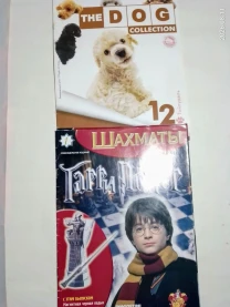 Журнал детям гарри поттер шахматы и коллекция собак 12