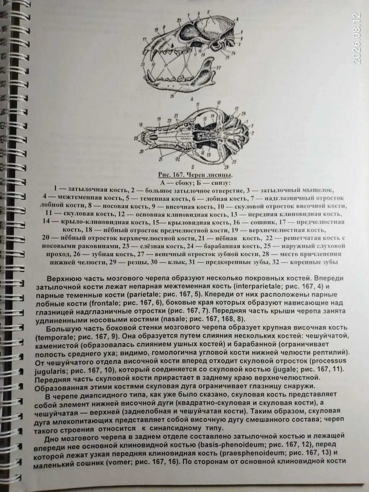 Книга биология класификация, анатомия млекопитающих и птиц 2