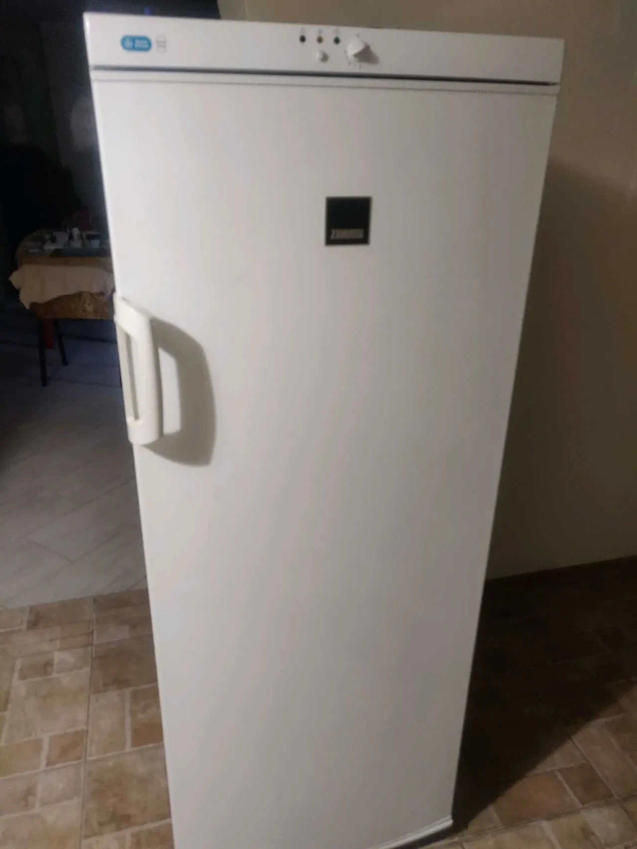 Морозильна камера Zanussi
