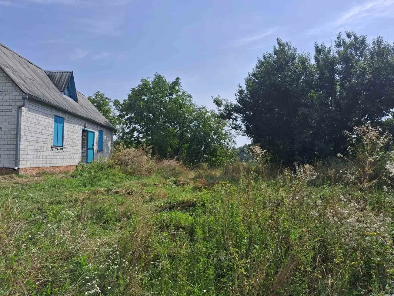 Продам будинок за Києвом 3