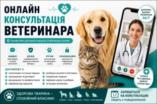 Консультація ветеринара ( Онлайн )