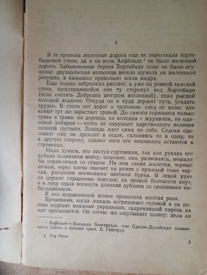Мор Йокаи - Желтая Роза. 4