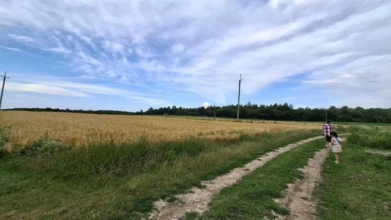 земельна ділянка 4