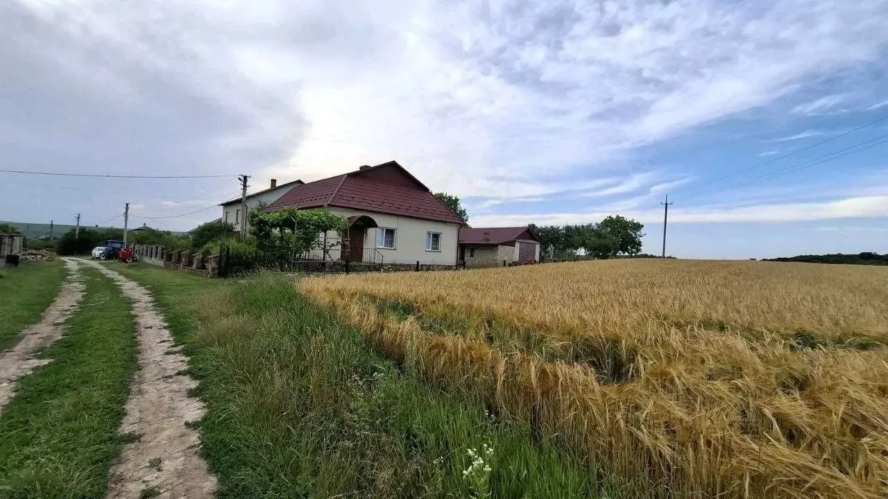 земельна ділянка