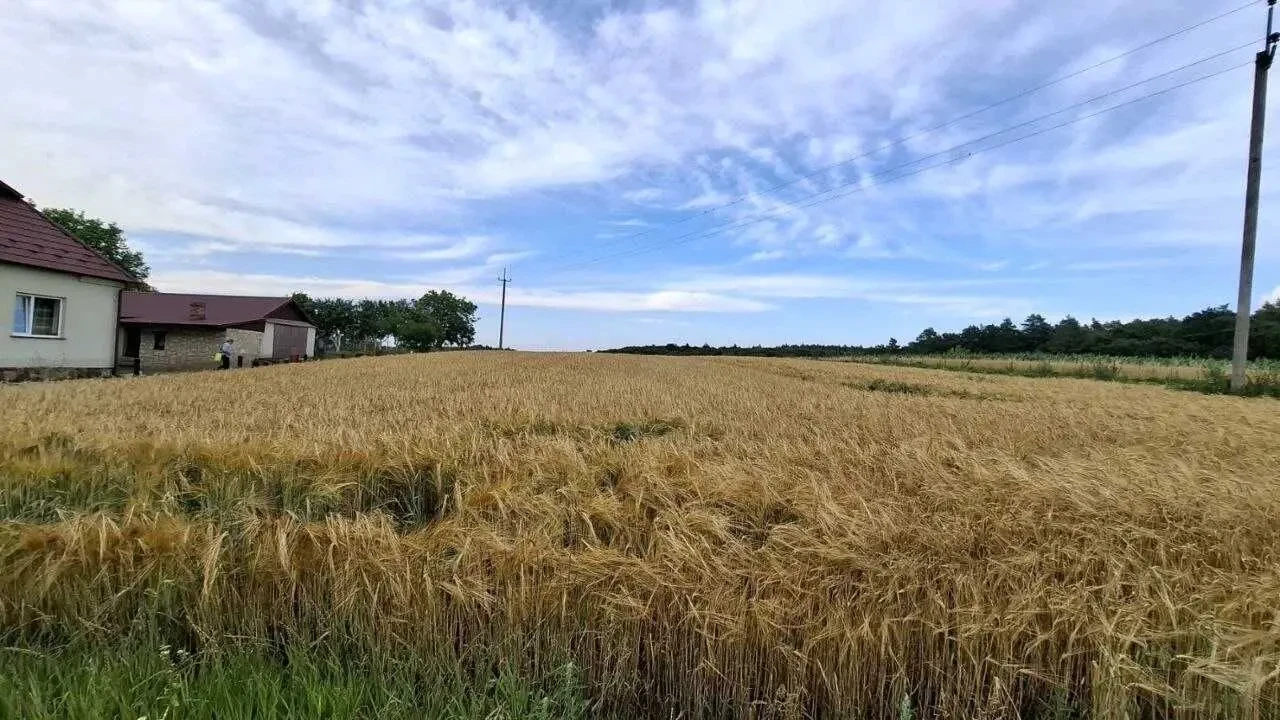 земельна ділянка 2