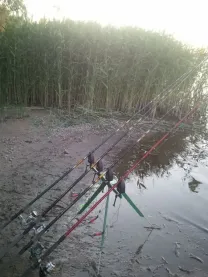 Tripod fishing  (відео)