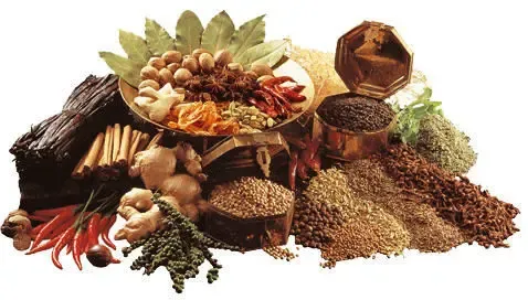 Спеції та прянощі 