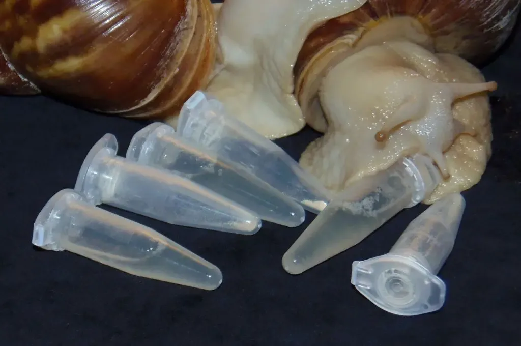 Achaslim — полифункциональная космецевтика от улиток ахатин.