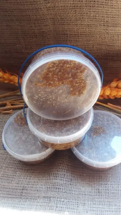 Апикомплекс № 3 3