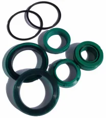 FESTO DNG, DNС-40-100-PPV-A - ремкомплект