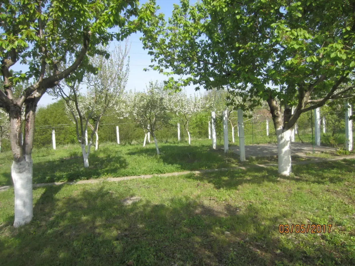 Триповерхова будівля із земельною ділянкою. 6