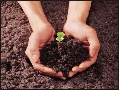 Пісок, Цегла (Півторачка), Чорнозем 2