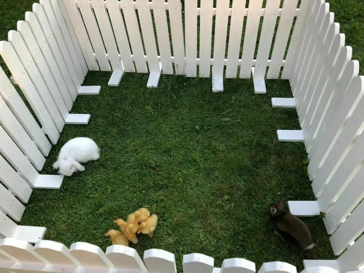 Заборчик садовый. Декоративное ограждения 6