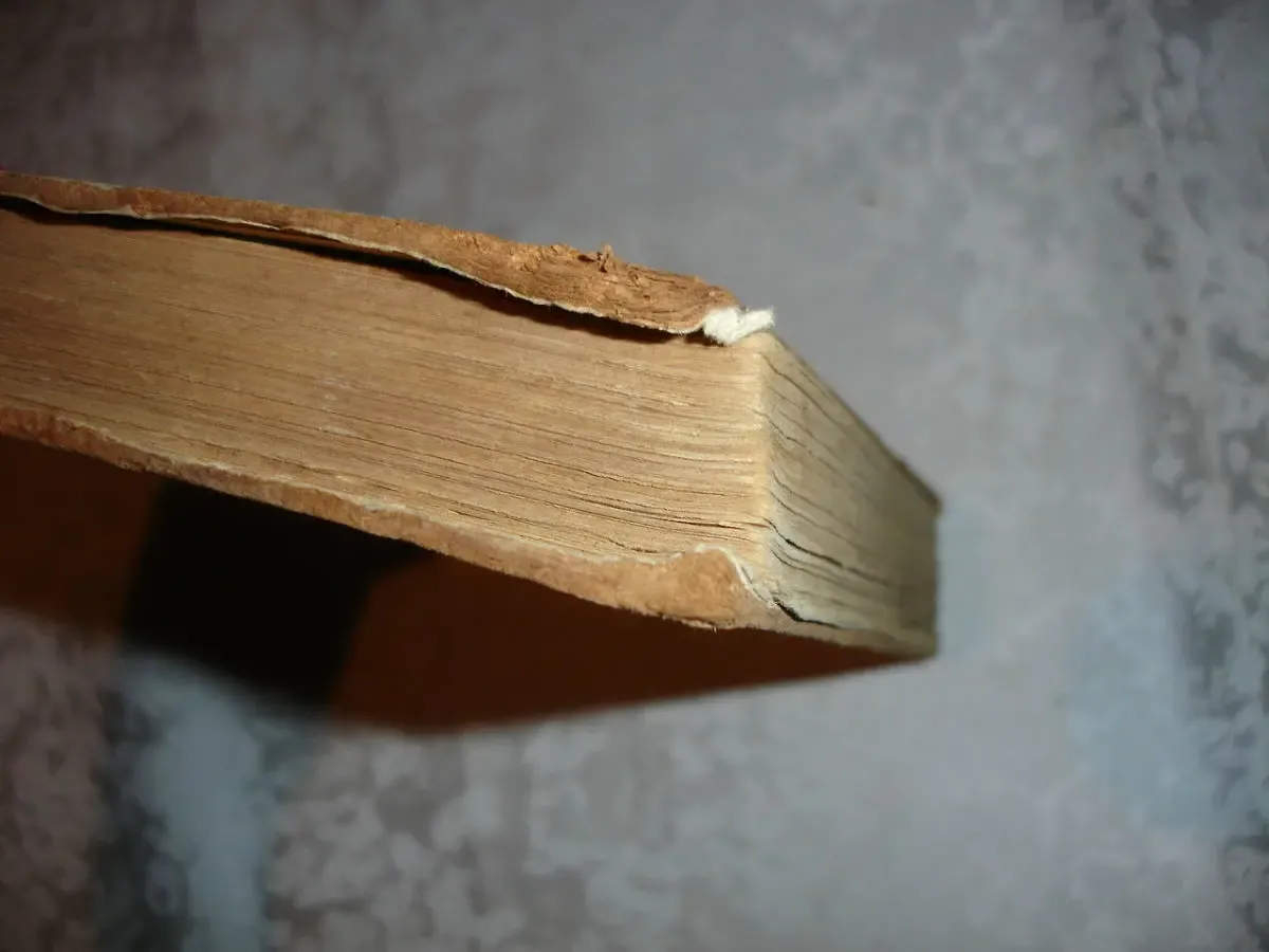 Вальтер СКОТТ.  РОБ РОЙ. Москва, 1955, Детгиз, 398 с. 8