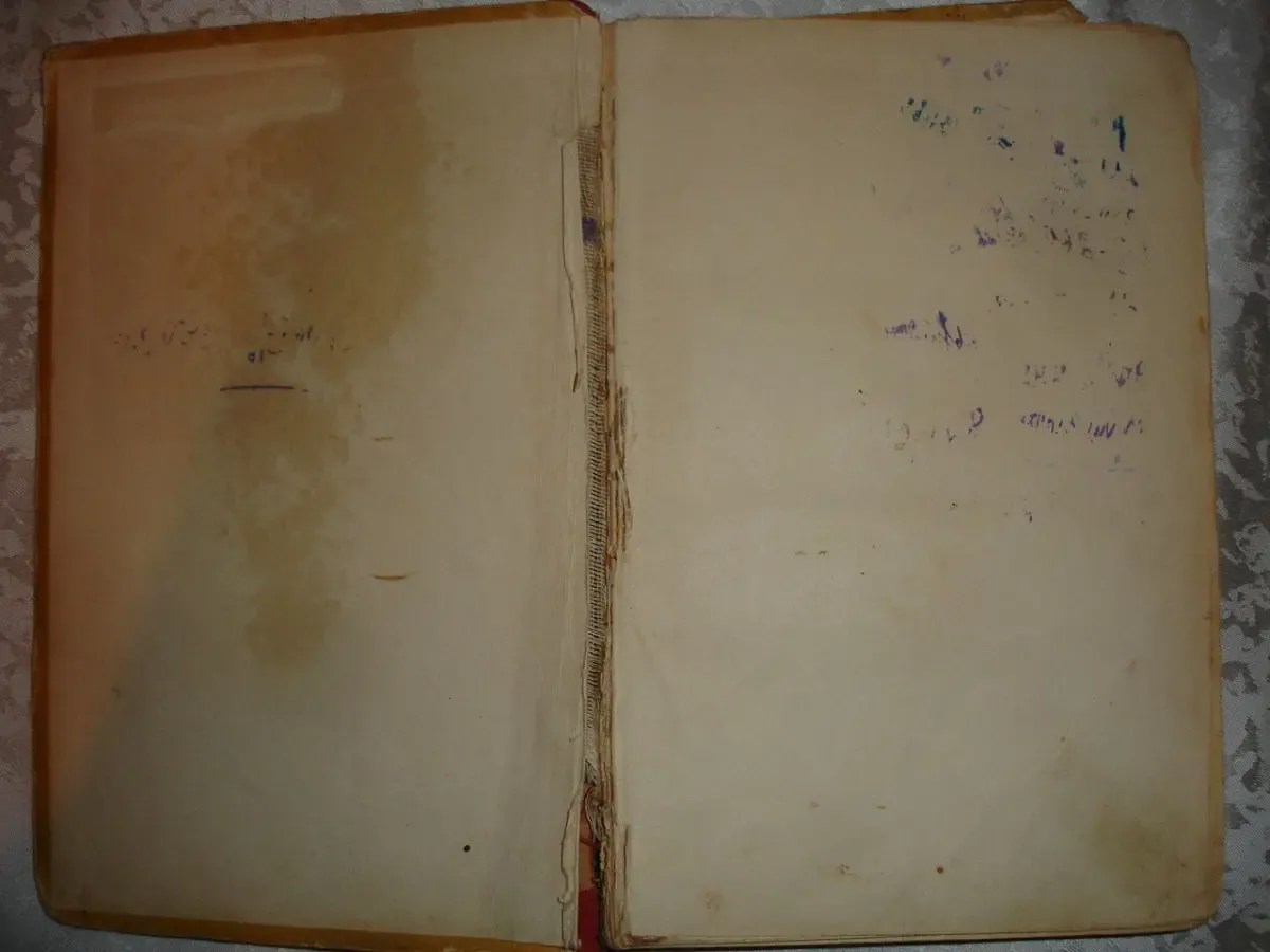 Вальтер СКОТТ.  РОБ РОЙ. Москва, 1955, Детгиз, 398 с. 3