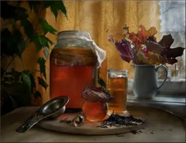 чайный гриб